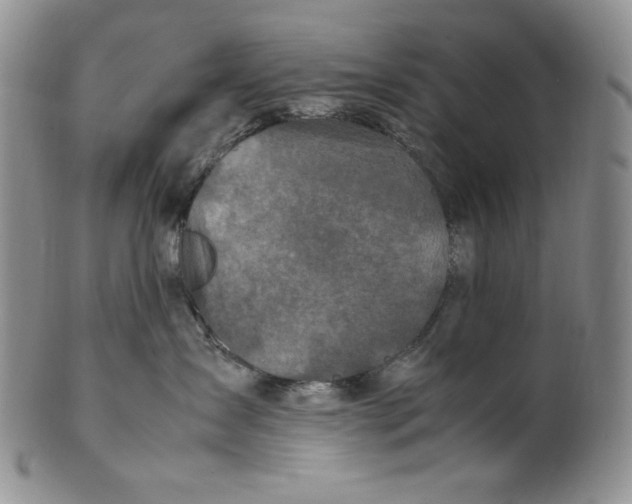 X0000100760431200807101732