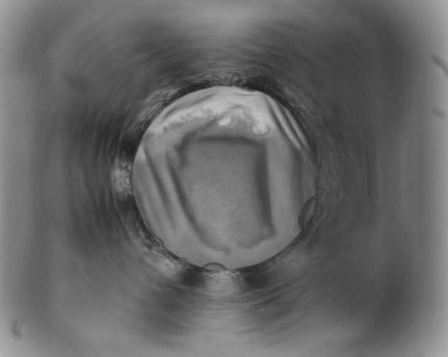 X0000100760432200807101732