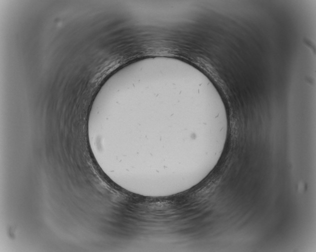 X0000100760433200807101731