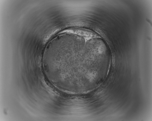 X0000100760434200807101731