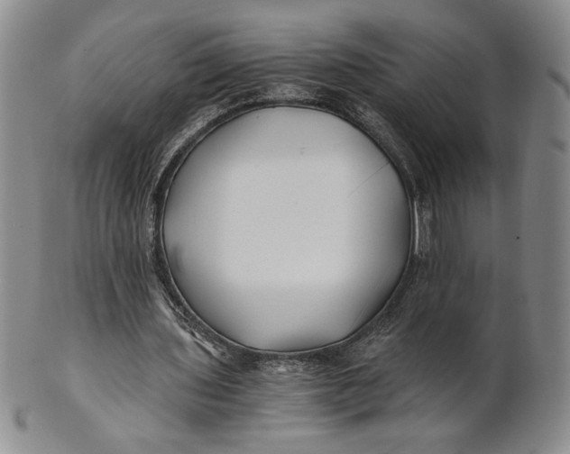 X0000100760435200807101731