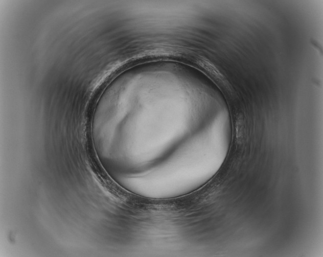 X0000100760436200807101731