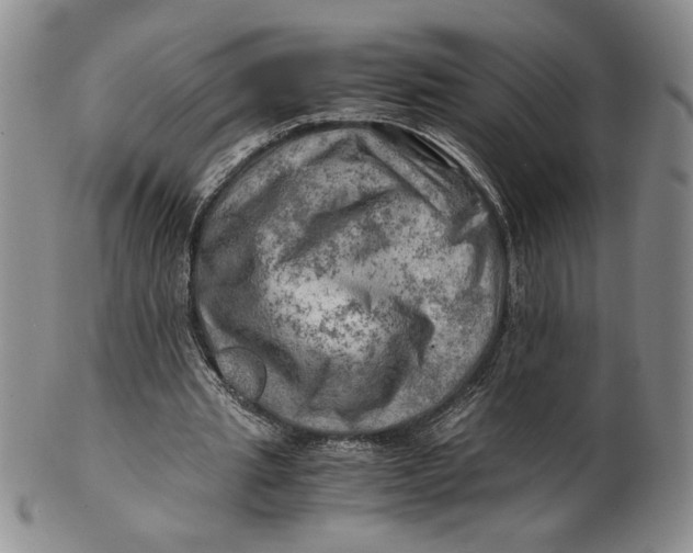 X0000100760437200807101731