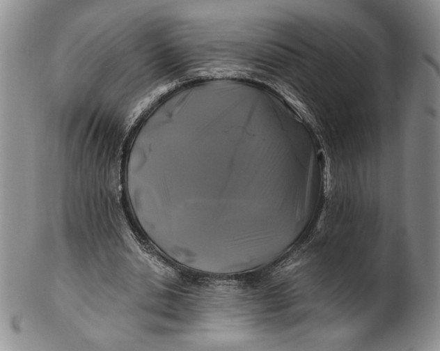 X0000100760438200807101731