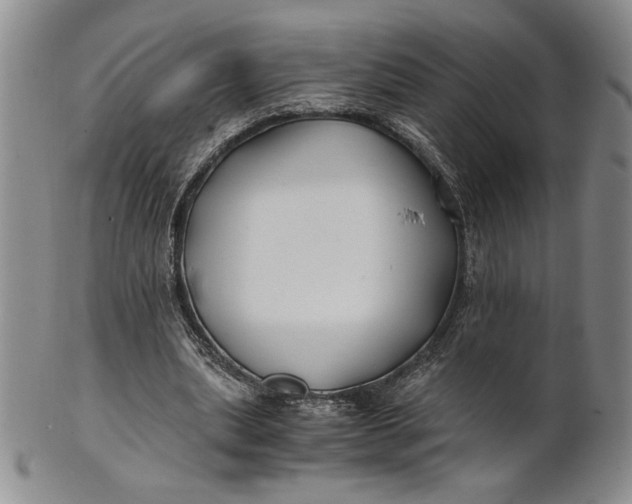 X0000100760439200807101732