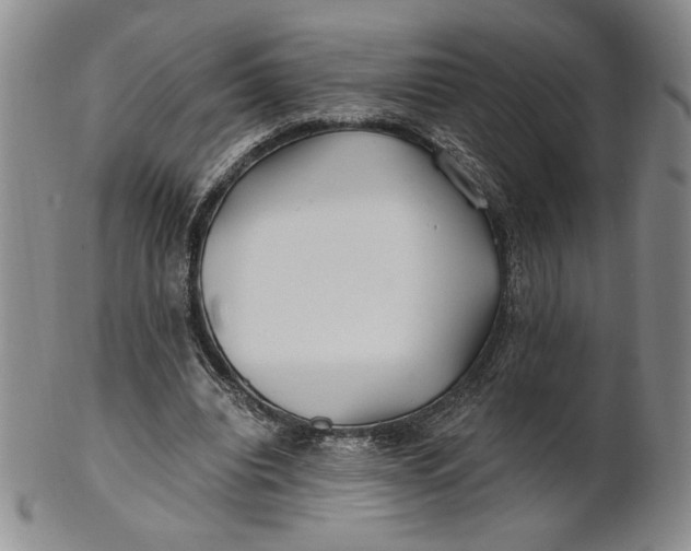 X0000100760440200807101732