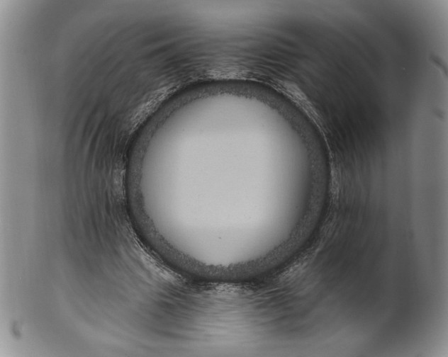 X0000100760441200807101732