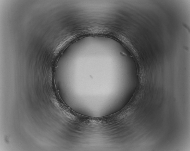 X0000100760442200807101732