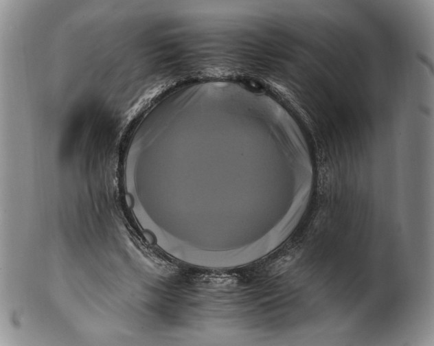 X0000100760443200807101732