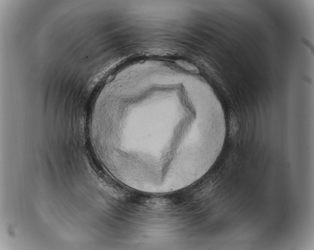 X0000100760444200807101732