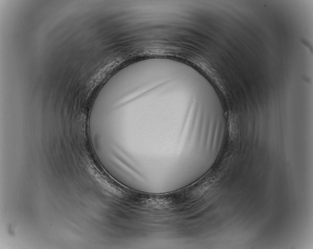 X0000100760445200807101732
