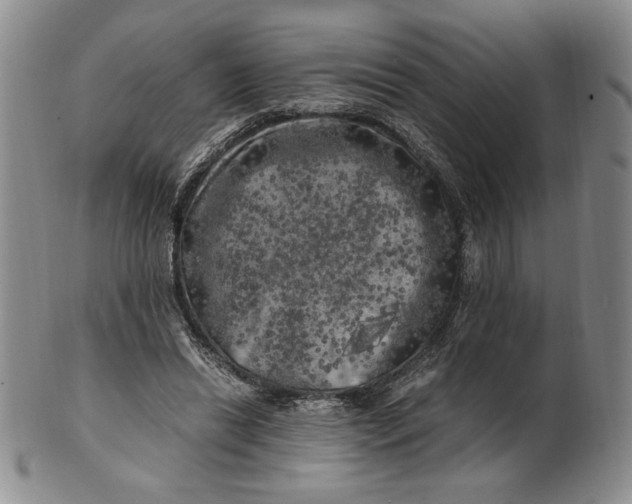 X0000100760446200807101732