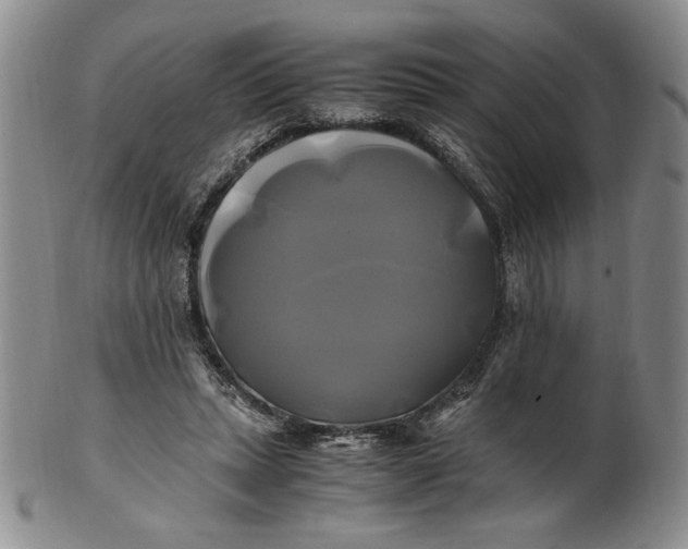 X0000100760447200807101732