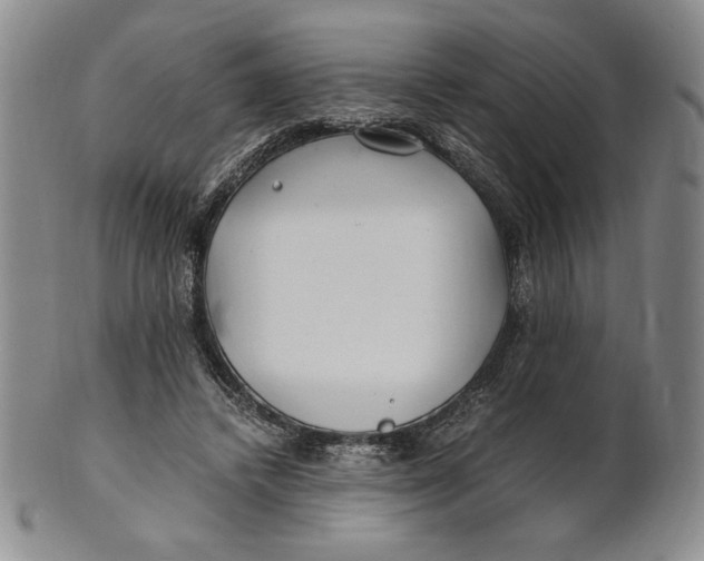 X0000100760448200807101732