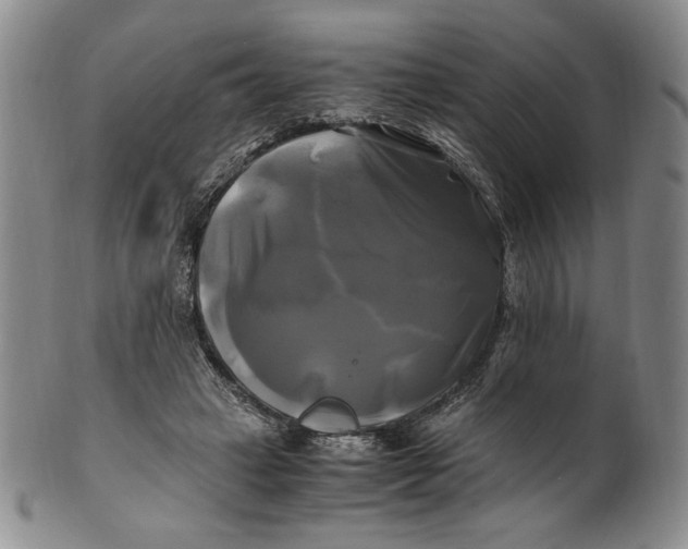 X0000100760449200807101732