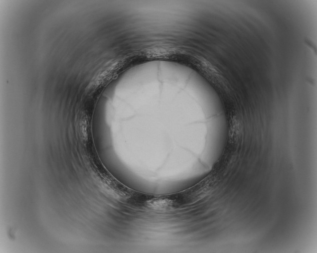 X0000100760452200807101732