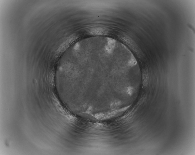 X0000100760453200807101732