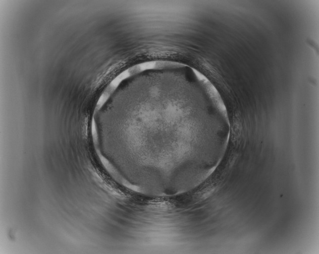 X0000100760454200807101732