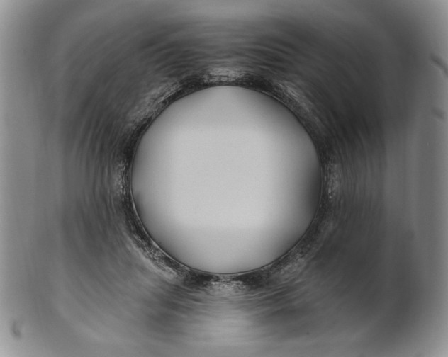 X0000100760455200807101732
