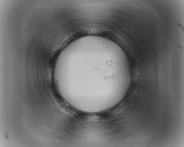 X0000100760456200807101732