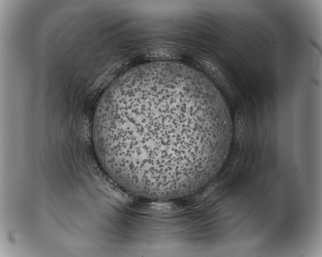 X0000100760457200807101732