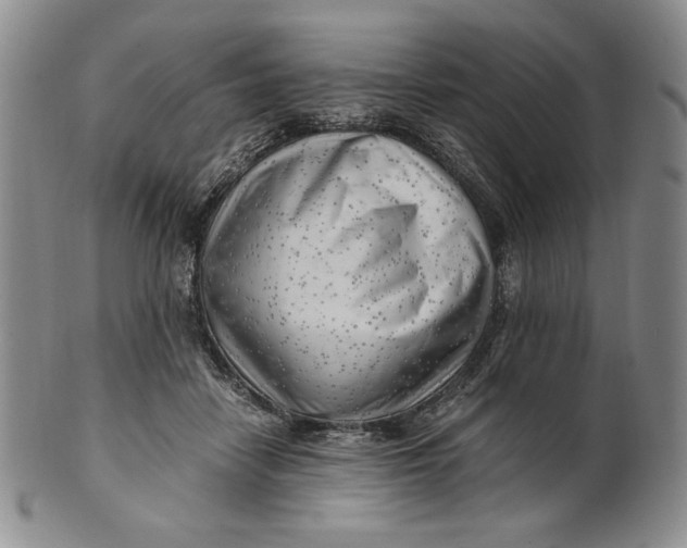X0000100760458200807101732