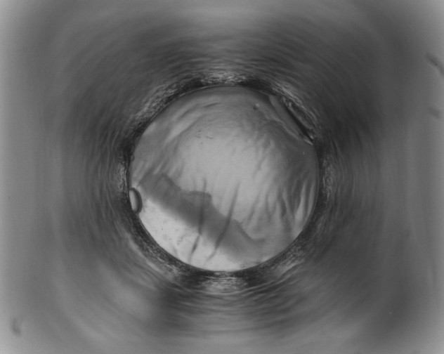 X0000100760459200807101732