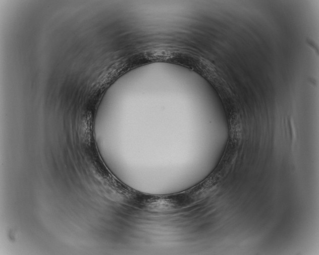X0000100760460200807101732