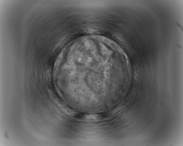 X0000100760461200807101732