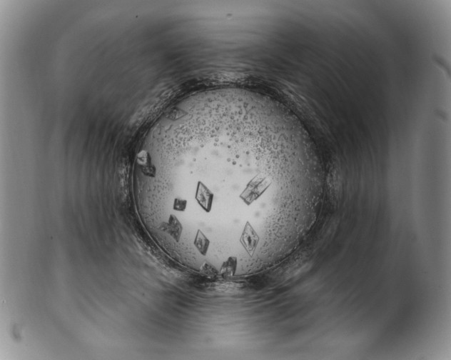 X0000100760462200807101732