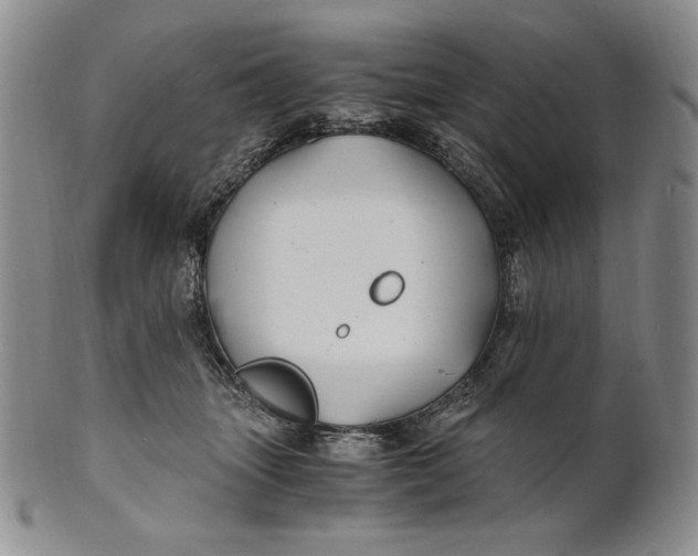 X0000100760463200807101732