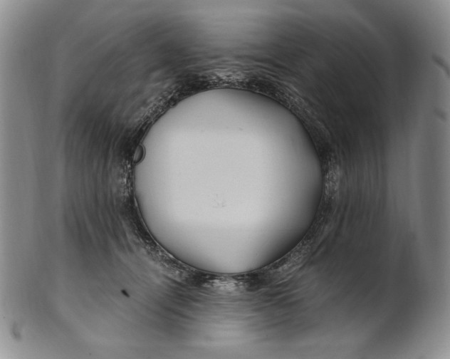 X0000100760464200807101732