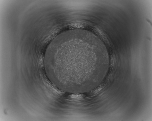 X0000100760465200807101732