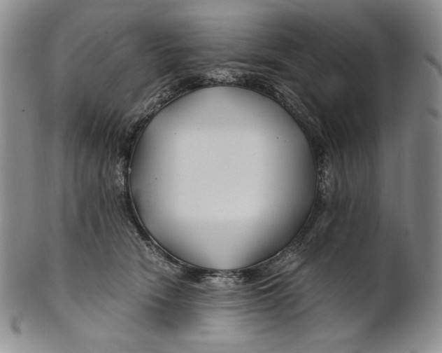 X0000100760466200807101732