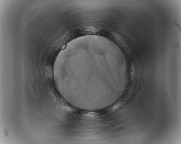 X0000100760467200807101732