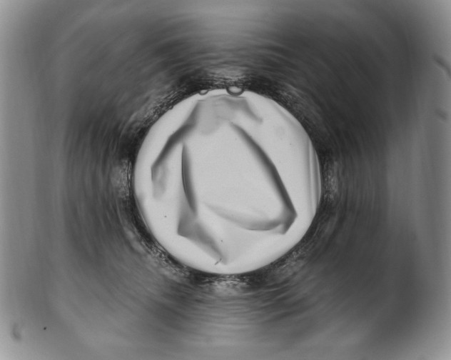X0000100760468200807101732