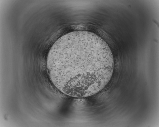X0000100760469200807101732