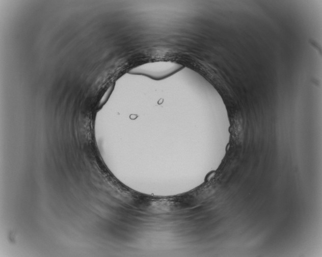 X0000100760470200807101732