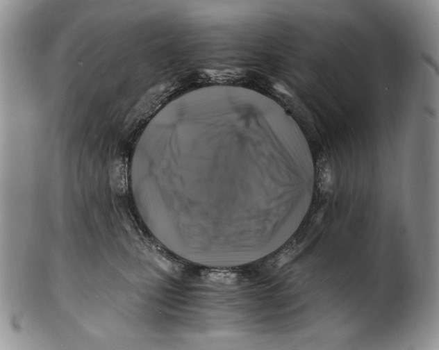 X0000100760471200807101732