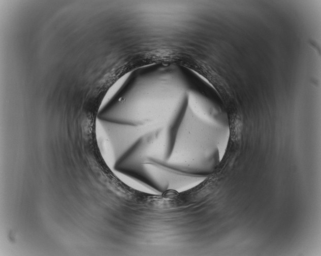 X0000100760472200807101732