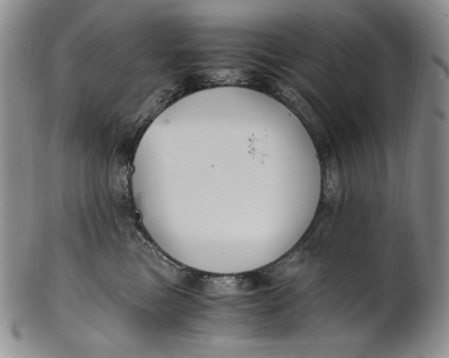 X0000100760473200807101732