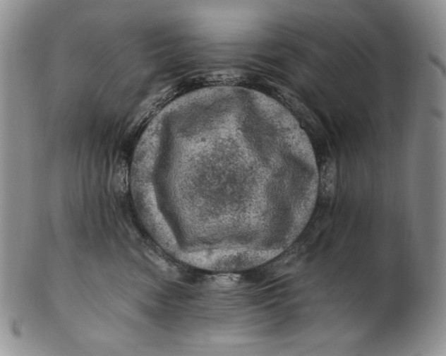 X0000100760474200807101732