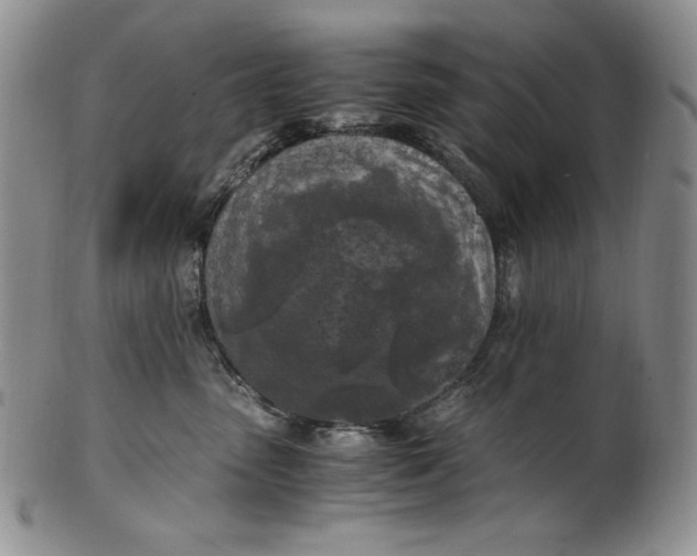 X0000100760475200807101732