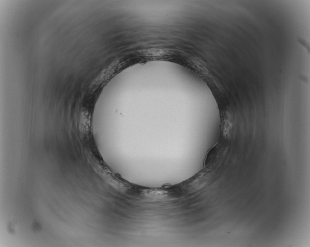 X0000100760476200807101732