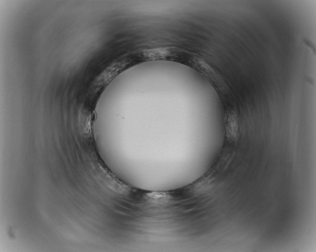 X0000100760477200807101732