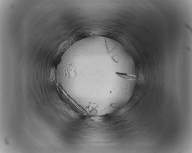 X0000100760478200807101732