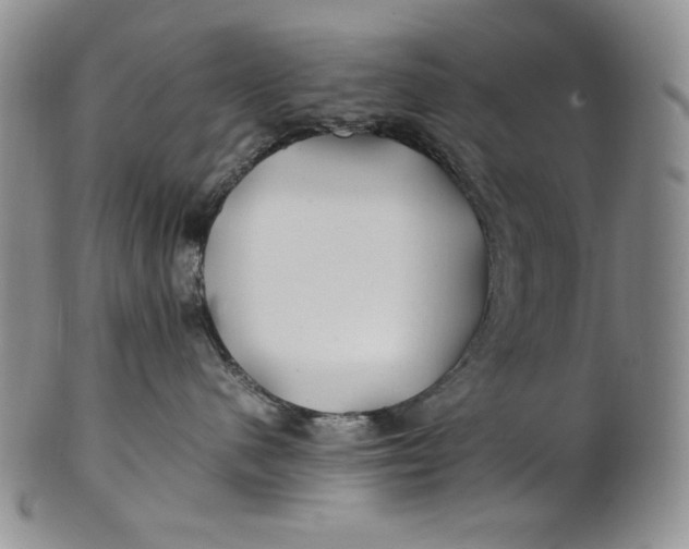 X0000100760480200807101732