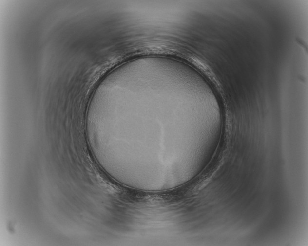 X0000100760481200807101731