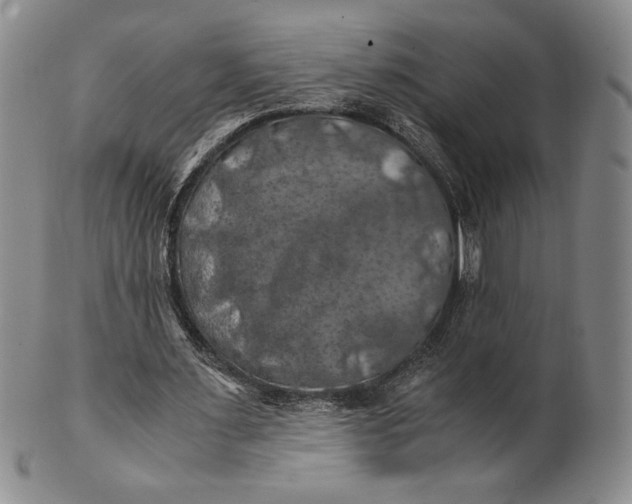 X0000100760483200807101731