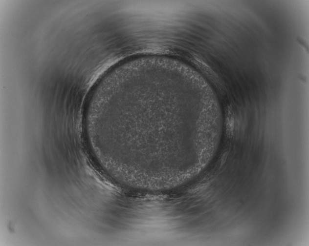 X0000100760484200807101731
